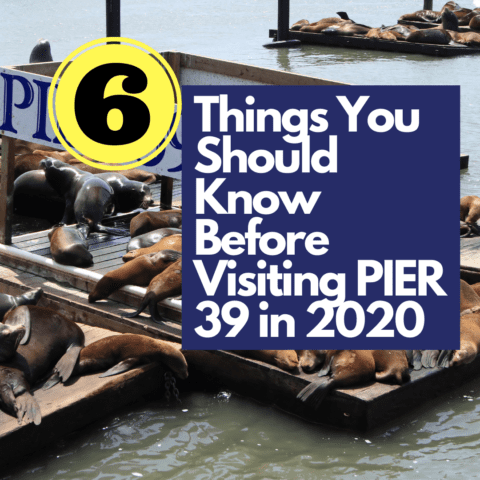 6 Things You Should Know Before Visiting PIER 39 in 2020