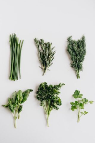 fresh herbs on avocado toast