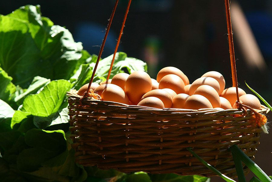 fresh eggs in a hanging basket alongside fresh lettuce